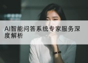 AI智能问答系统专家服务深度解析