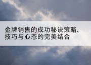 金牌销售的成功秘诀策略、技巧与心态的完美结合