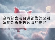 金牌销售与普通销售的区别深度剖析销售领域的差异