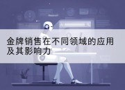金牌销售在不同领域的应用及其影响力