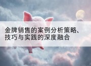 金牌销售的案例分析策略、技巧与实践的深度融合