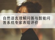自然语言理解问答与智能问答系统专家表现评价