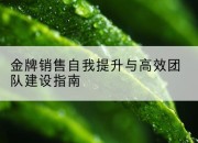 金牌销售自我提升与高效团队建设指南