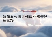 如何有效提升销售业绩策略与实践