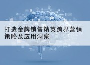 打造金牌销售精英跨界营销策略及应用洞察
