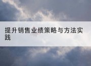 提升销售业绩策略与方法实践
