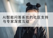 AI智能问答系统的社区支持与专家深度互动