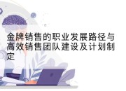 金牌销售的职业发展路径与高效销售团队建设及计划制定