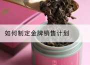如何制定金牌销售计划