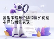 营销策略与金牌销售如何精准评估销售表现