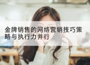 金牌销售的网络营销技巧策略与执行力并行