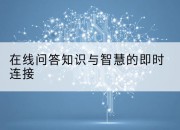 在线问答知识与智慧的即时连接
