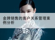 金牌销售的客户关系管理案例分析